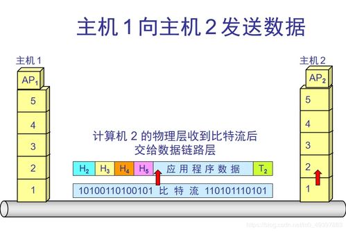 計算機網(wǎng)絡(luò)概述 連接數(shù)字世界的基石